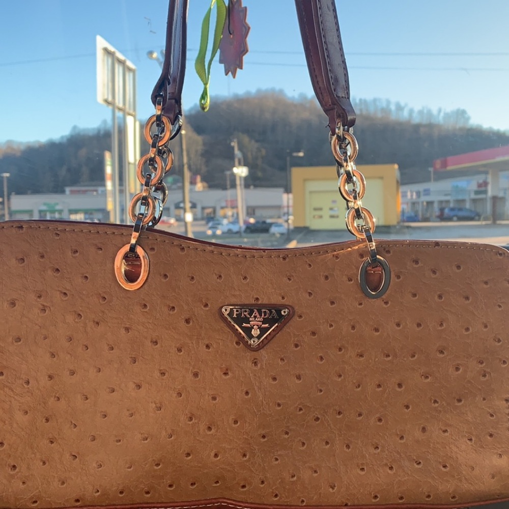 Tan Purse